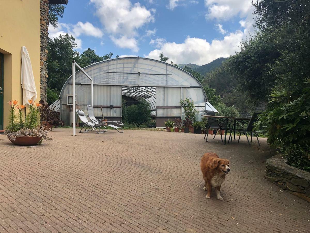 Вилла Agriturismo Argentea Аренцано Экстерьер фото