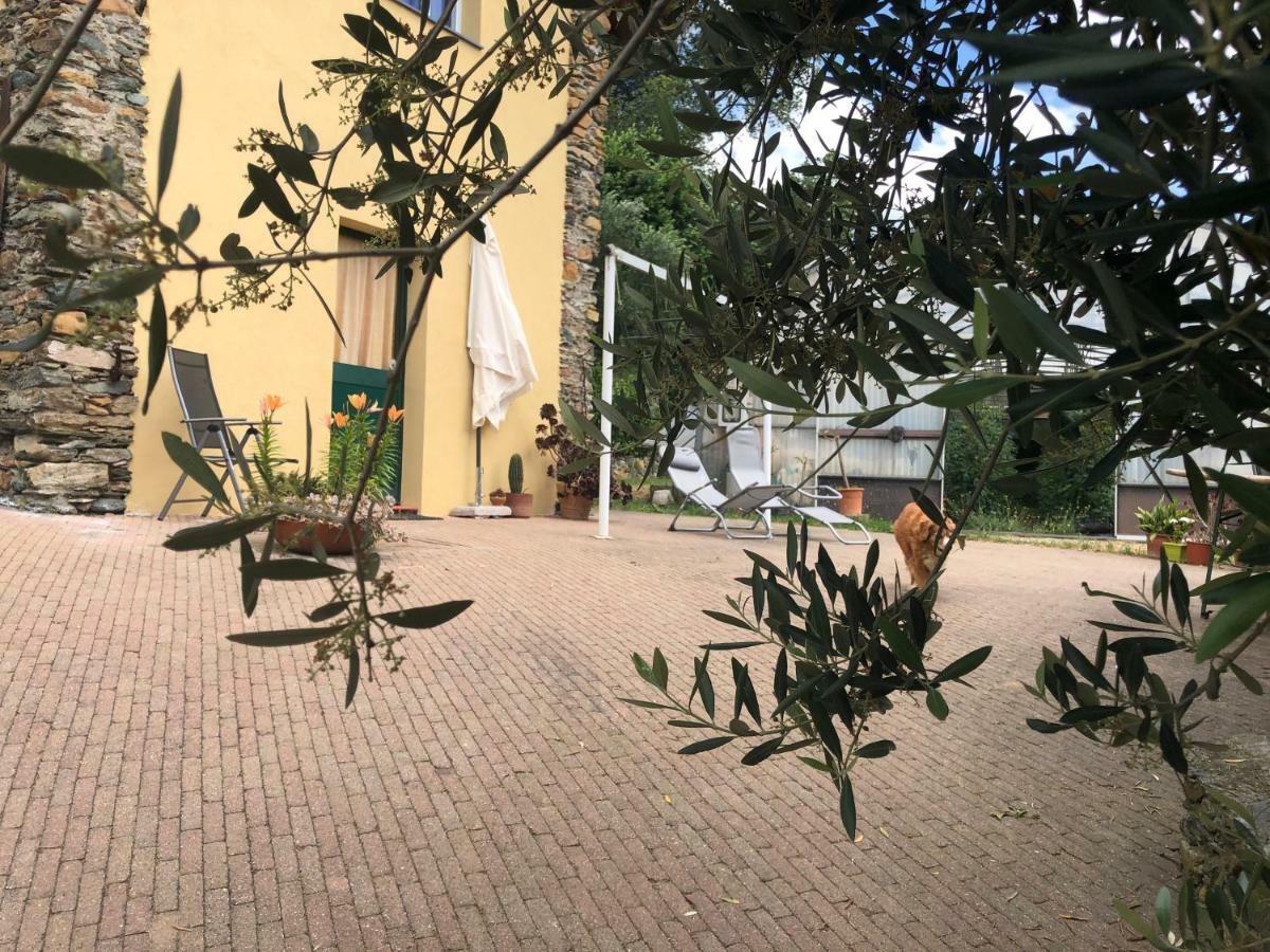 Вилла Agriturismo Argentea Аренцано Экстерьер фото